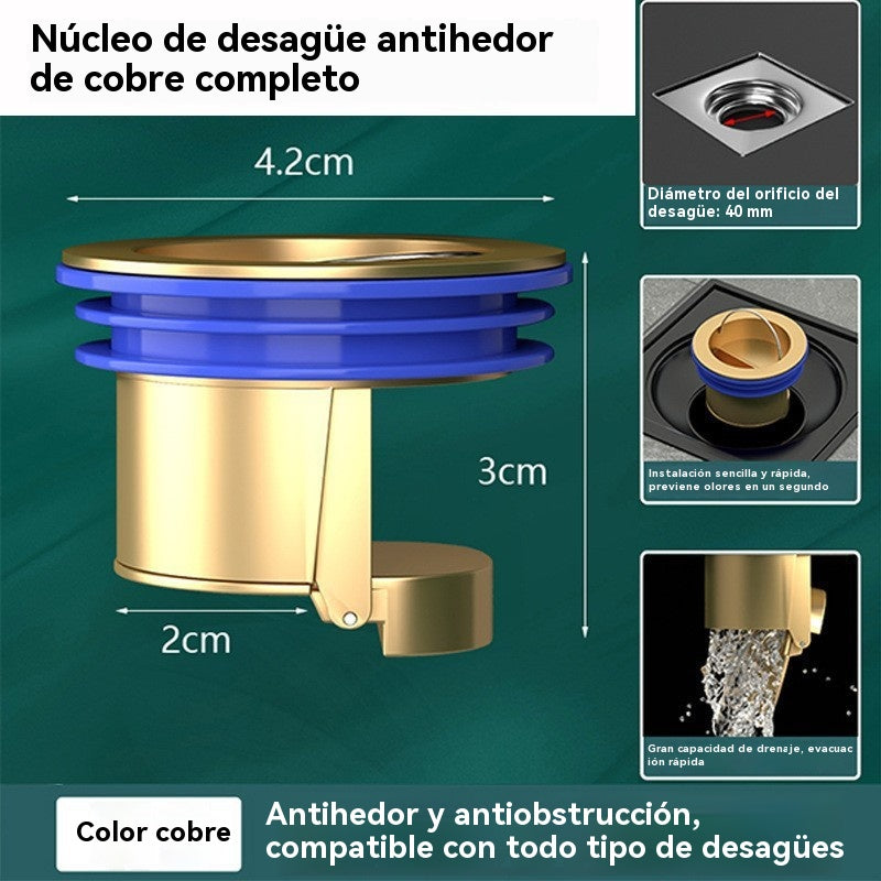 🚿🕳 Desagüe universal de latón para suelo con núcleo desodorizante antiolor