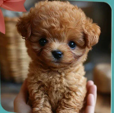 🐶 Slatka plišana igračka 😊 Moj robotski pas – plišana lutka