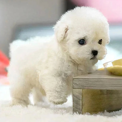 🐶 Slatka plišana igračka 😊 Moj robotski pas – plišana lutka